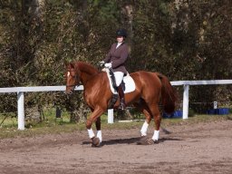 IMG_7892_web